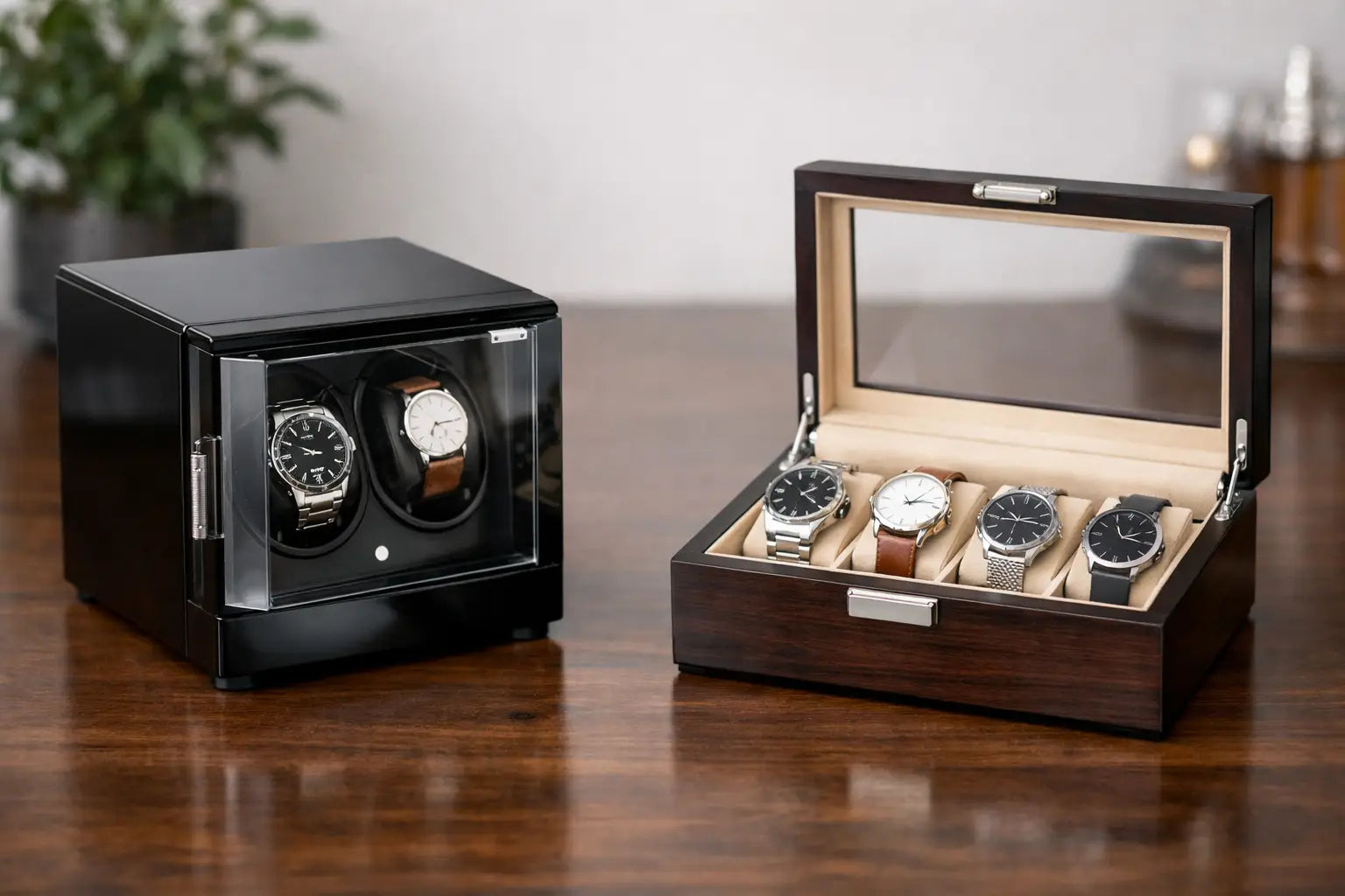 Watch Winder vs Watch Box: Which Wins?
